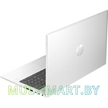 Ноутбук HP ProBook 450 G10 (9Y7G2ET) картинка 4